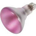 Sylvania 65 Watt Pink BR-30 Flood Bulb